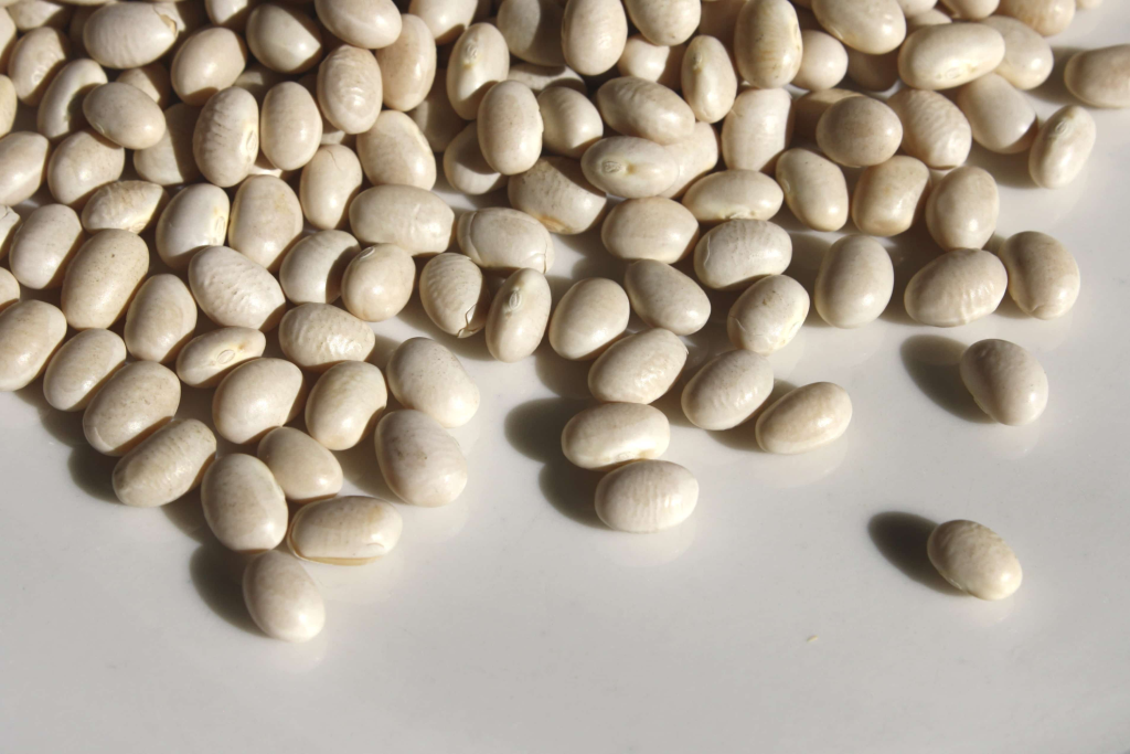 Cannellini Beans